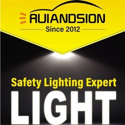 Come To Check Ruiandsion Certifications